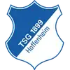 Logo for Hoffenheim