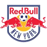 Logo for New York RB